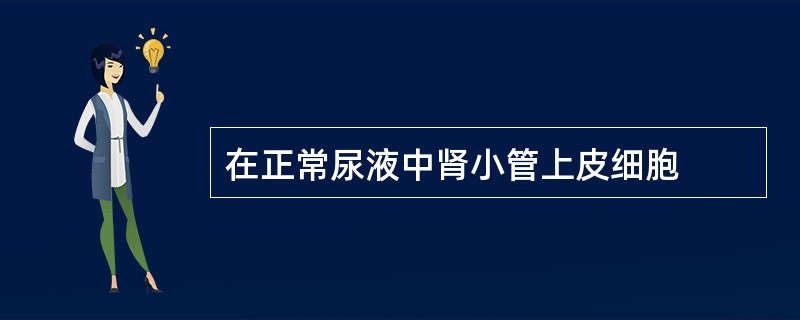 在正常尿液中肾小管上皮细胞