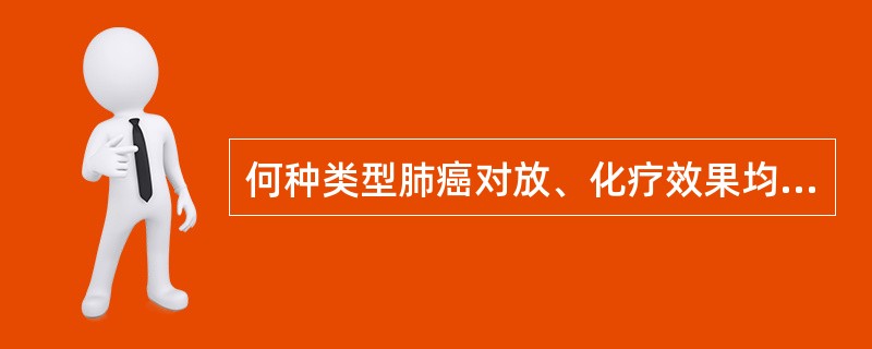 何种类型肺癌对放、化疗效果均较差A、鳞癌B、小细胞癌C、大细胞癌D、腺癌E、以上