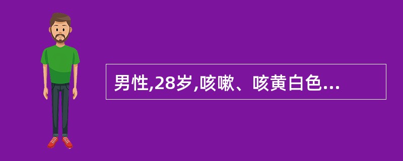 男性,28岁,咳嗽、咳黄白色痰。查体:T38C,P88次£¯分,R22次£¯分,