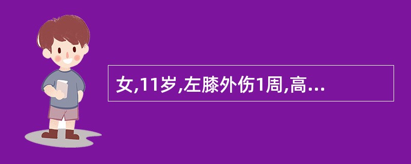 女,11岁,左膝外伤1周,高热4天,膝关节疼痛且活动受限,左胫骨上端明显深压痛,