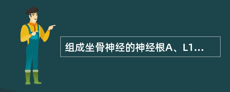 组成坐骨神经的神经根A、L1~2B、L4~5C、L1~S2D、L4~S3E、S1