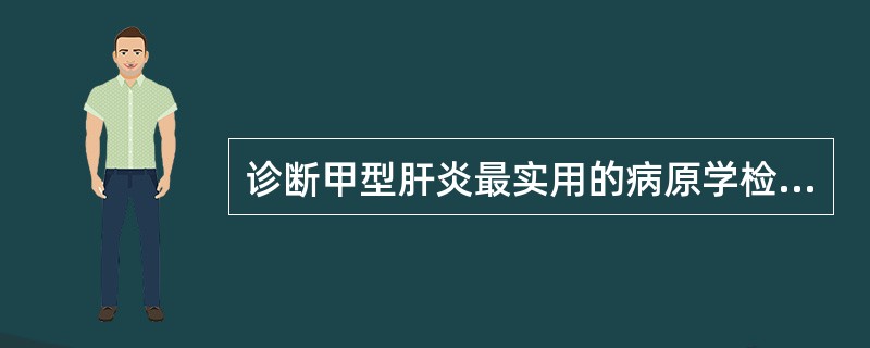 诊断甲型肝炎最实用的病原学检测方法是A、免疫电镜法检测粪便标本中病毒颗粒B、取粪