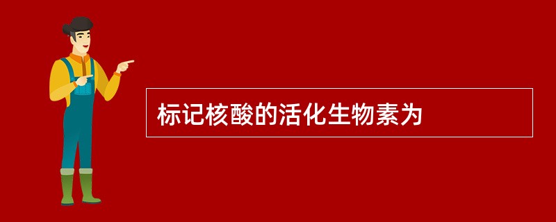 标记核酸的活化生物素为