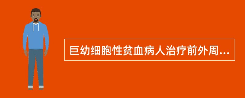 巨幼细胞性贫血病人治疗前外周血涂片中可见A、红细胞大小不均B、超巨红细胞C、小红