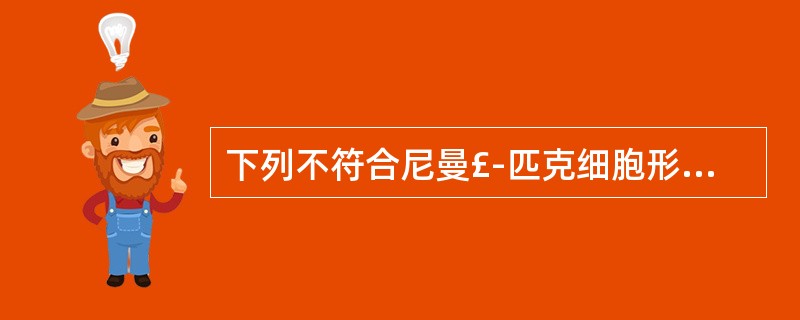 下列不符合尼曼£­匹克细胞形态特征的是A、胞体大,直径20~90μmB、胞体圆形