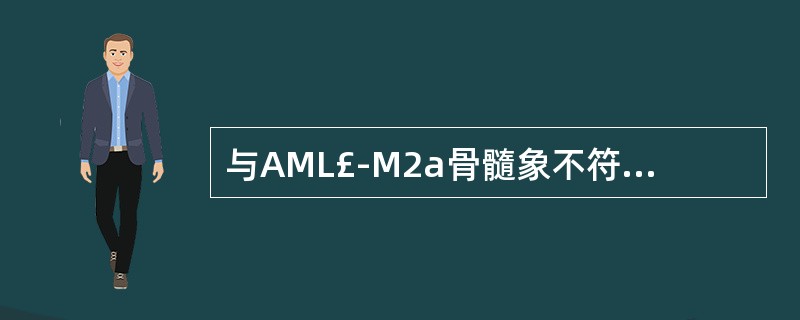 与AML£­M2a骨髓象不符合的是A、骨髓增生明显或极度活跃B、原粒细胞≥30%