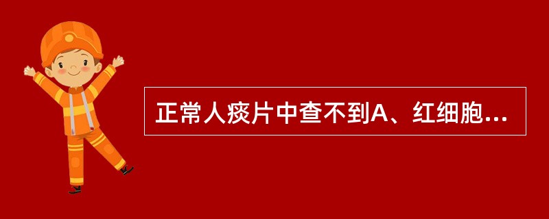 正常人痰片中查不到A、红细胞B、白细胞C、上皮细胞D、夏科£­莱登结晶E、胆固醇