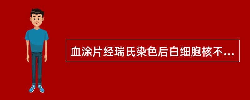 血涂片经瑞氏染色后白细胞核不着色或着色浅,而胞质着色尚可,最可能的原因是A、瑞氏