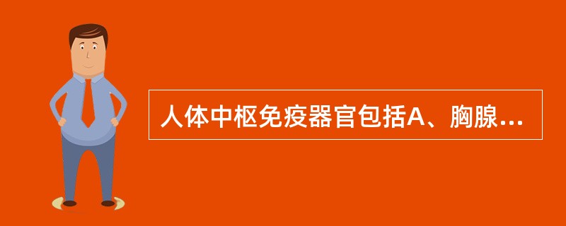 人体中枢免疫器官包括A、胸腺和脾B、骨髓和淋巴结C、胸腺和淋巴结D、骨髓和黏膜淋