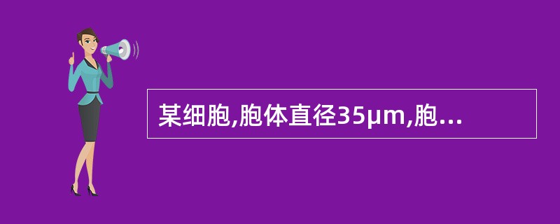 某细胞,胞体直径35μm,胞体椭圆形;胞质蓝色,无颗粒,有少许空泡;核大,椭圆形