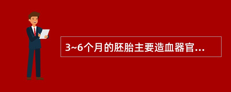 3~6个月的胚胎主要造血器官是A、肝脏B、脾脏C、卵黄囊D、骨髓E、胸腺