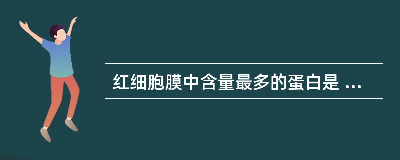 红细胞膜中含量最多的蛋白是 ( )A、锚蛋白B、带3蛋白C、收缩蛋白D、4.1蛋