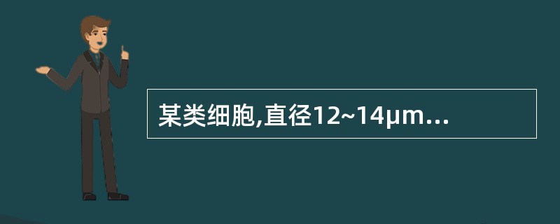 某类细胞,直径12~14μm,胞质丰富,浅蓝色,无颗粒,核£¯质比率低;核圆形或