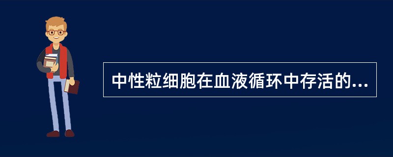 中性粒细胞在血液循环中存活的时间是A、数小时B、十几小时C、数天D、数周E、数月