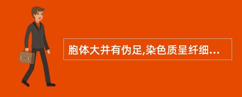 胞体大并有伪足,染色质呈纤细网状,一个大而清晰的核仁,核形略有扭曲,胞浆毛玻璃样