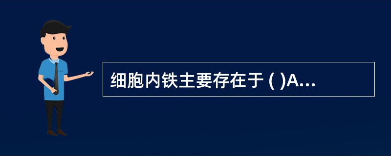 细胞内铁主要存在于 ( )A、细胞间隙B、巨核细胞C、巨噬细胞D、环铁细胞E、幼