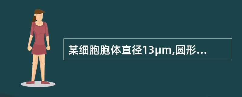 某细胞胞体直径13μm,圆形或类圆形。胞核椭圆形,常偏一侧,核染色质紧密而均匀,