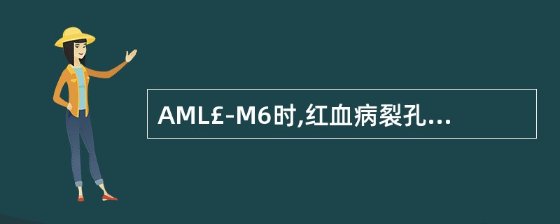 AML£­M6时,红血病裂孔现象指哪一阶段的红细胞缺如A、原始红细胞B、早幼红细