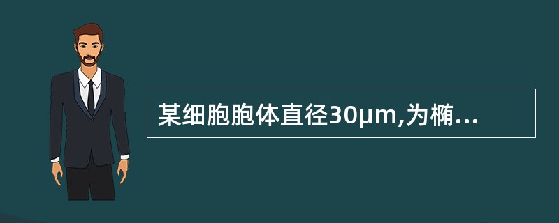 某细胞胞体直径30μm,为椭圆形,成堆分布,胞体边缘清楚。胞核椭圆形,偏于一侧,