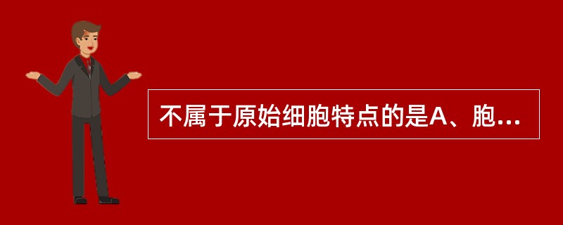 不属于原始细胞特点的是A、胞体较大B、核染色质细致C、有清晰核仁D、胞质蓝色E、