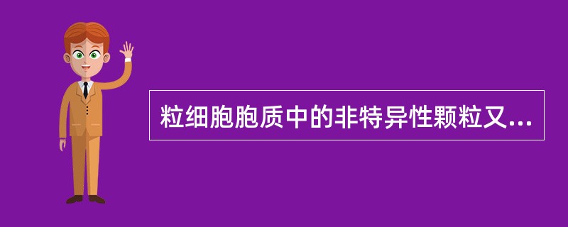 粒细胞胞质中的非特异性颗粒又称为A、嗜酸性颗粒B、中性颗粒C、嗜天青颗粒D、中毒