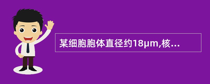 某细胞胞体直径约18μm,核圆形、居中,染色质粗颗粒状,无核仁,胞质量较多,不透