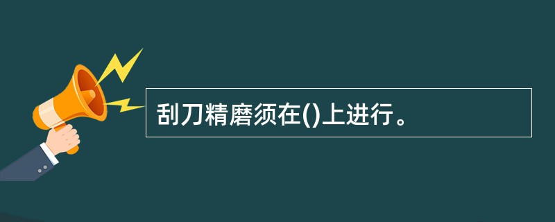 刮刀精磨须在()上进行。