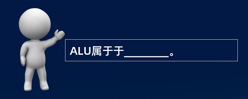 ALU属于于________。