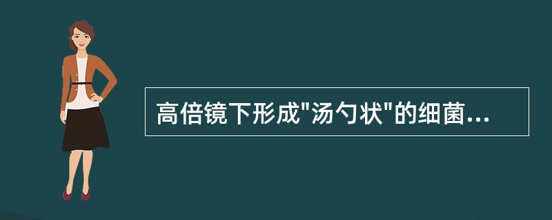 高倍镜下形成"汤勺状"的细菌是( )A、白喉杆菌B、枯草杆菌C、炭疽杆菌D、产气