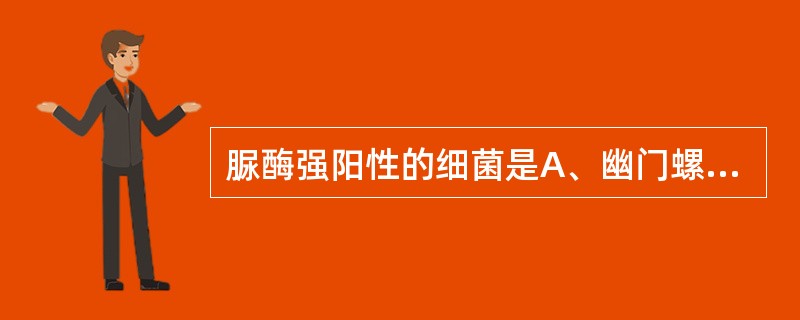 脲酶强阳性的细菌是A、幽门螺杆菌B、空肠弯曲菌C、霍乱弧菌D、副溶血弧菌E、气单