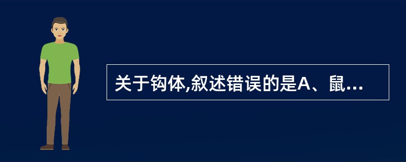 关于钩体,叙述错误的是A、鼠类和猪是主要传染源B、病后可获得对同型钩体较牢固的负