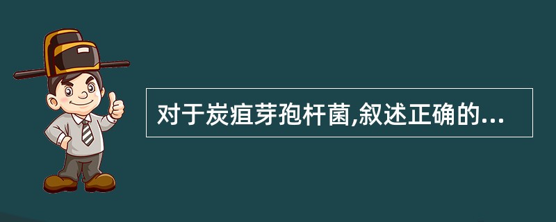 对于炭疽芽孢杆菌,叙述正确的是A、只能引起食草动物患炭疽病B、是致病菌中最大的革