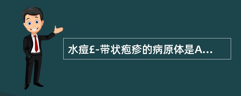 水痘£­带状疱疹的病原体是A、HHV£­6B、CMVC、HSV£­1D、VZVE