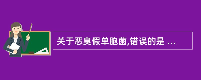 关于恶臭假单胞菌,错误的是 ( )A、单端丛毛菌,运动活跃B、革兰阴性杆菌,氧化