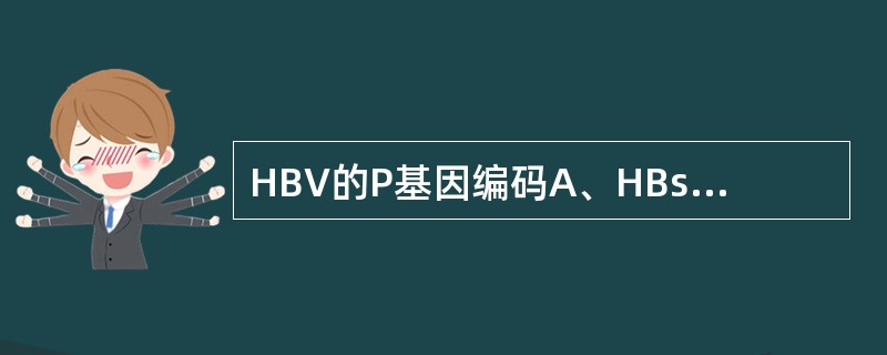 HBV的P基因编码A、HBsAgB、X蛋白C、HBeAgD、HBcAgE、DN