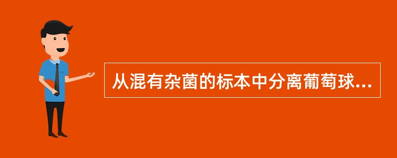 从混有杂菌的标本中分离葡萄球菌的首选培养基是 ( )A、巧克力琼脂培养基B、EM