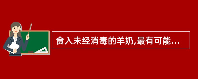 食入未经消毒的羊奶,最有可能引起的疾病是A、结核B、波浪热C、破伤风D、伤寒E、