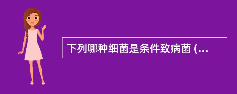 下列哪种细菌是条件致病菌 ( )A、伤寒沙门菌B、溶血性链球菌C、淋病奈瑟菌D、