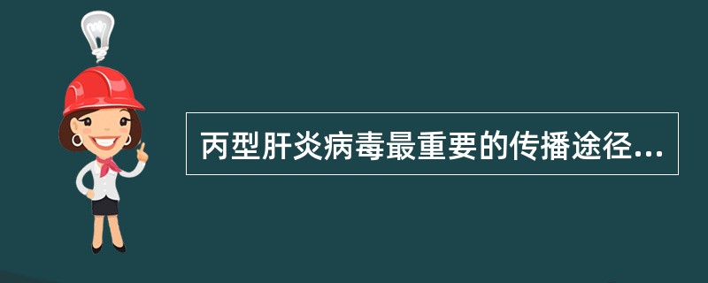 丙型肝炎病毒最重要的传播途径是:A、消化道B、性接触C、母婴传播D、节肢动物叮咬