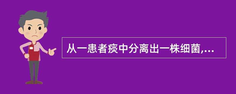 从一患者痰中分离出一株细菌,血平板上灰白色黏液型大菌落,用接种针可拉出丝;革兰染