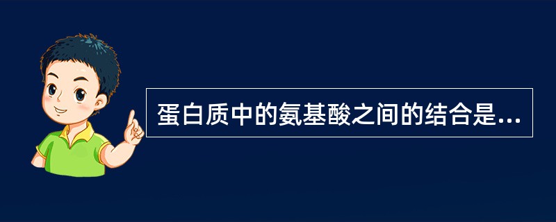 蛋白质中的氨基酸之间的结合是通过A、共价键B、酯键C、氢键D、肽键E、二硫键 -