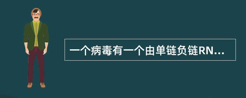 一个病毒有一个由单链负链RNA组成的基因组,以下哪一个过程正确描述了病毒RNA的