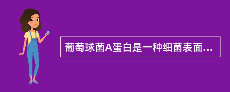 葡萄球菌A蛋白是一种细菌表面蛋白,其英文简称是A、HRPB、SPAC、SAPD、