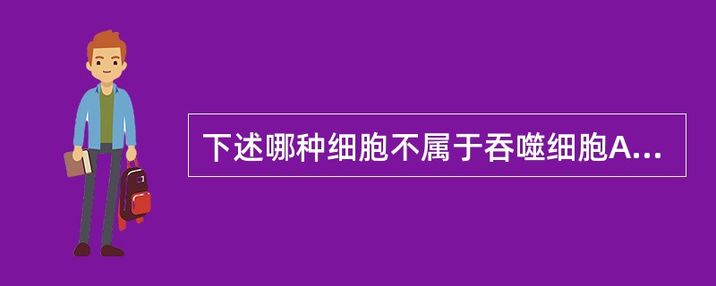 下述哪种细胞不属于吞噬细胞A、T细胞B、库普弗细胞C、尘细胞D、单核细胞E、中性