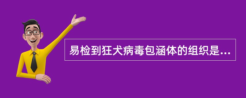 易检到狂犬病毒包涵体的组织是A、血液B、骨髓C、淋巴结D、大脑海马回E、外周神经