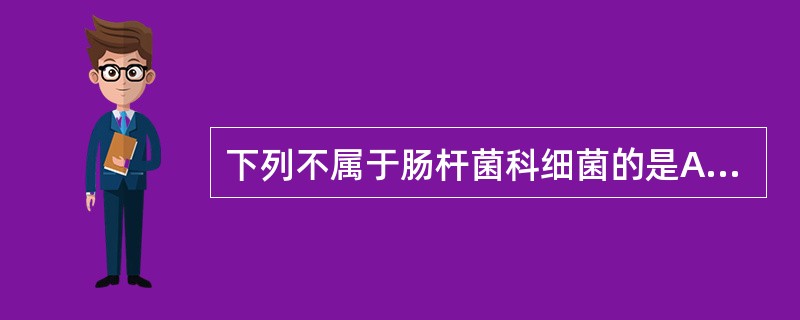 下列不属于肠杆菌科细菌的是A、双歧杆菌B、普通变形杆菌C、大肠埃希菌D、痢疾志贺