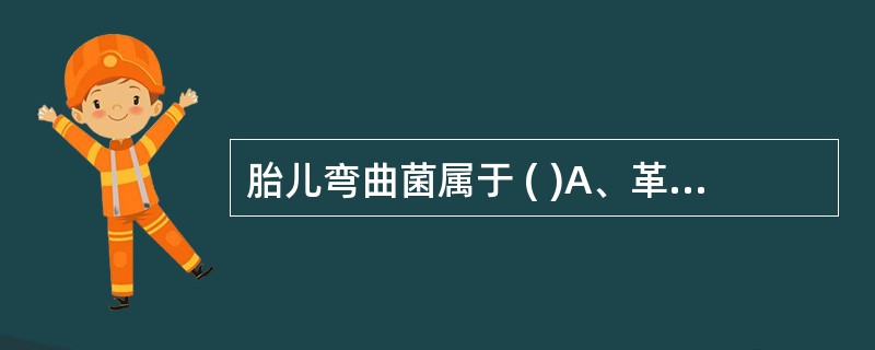 胎儿弯曲菌属于 ( )A、革兰阴性弯曲杆菌B、革兰阳性弯曲杆菌C、革兰阳性杆菌D