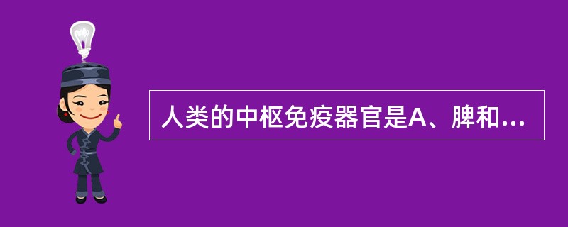 人类的中枢免疫器官是A、脾和胸腺B、骨髓和黏膜免疫系统C、淋巴结和脾D、胸腺和骨