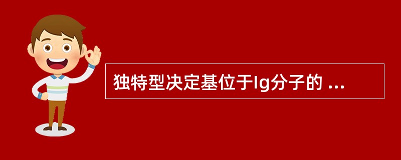 独特型决定基位于Ig分子的 ( )A、CH区B、CL区C、VH区D、VL区E、V