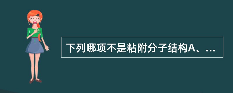 下列哪项不是粘附分子结构A、活化区B、疏水区C、胞浆区D、胞内区E、胞外区 -
